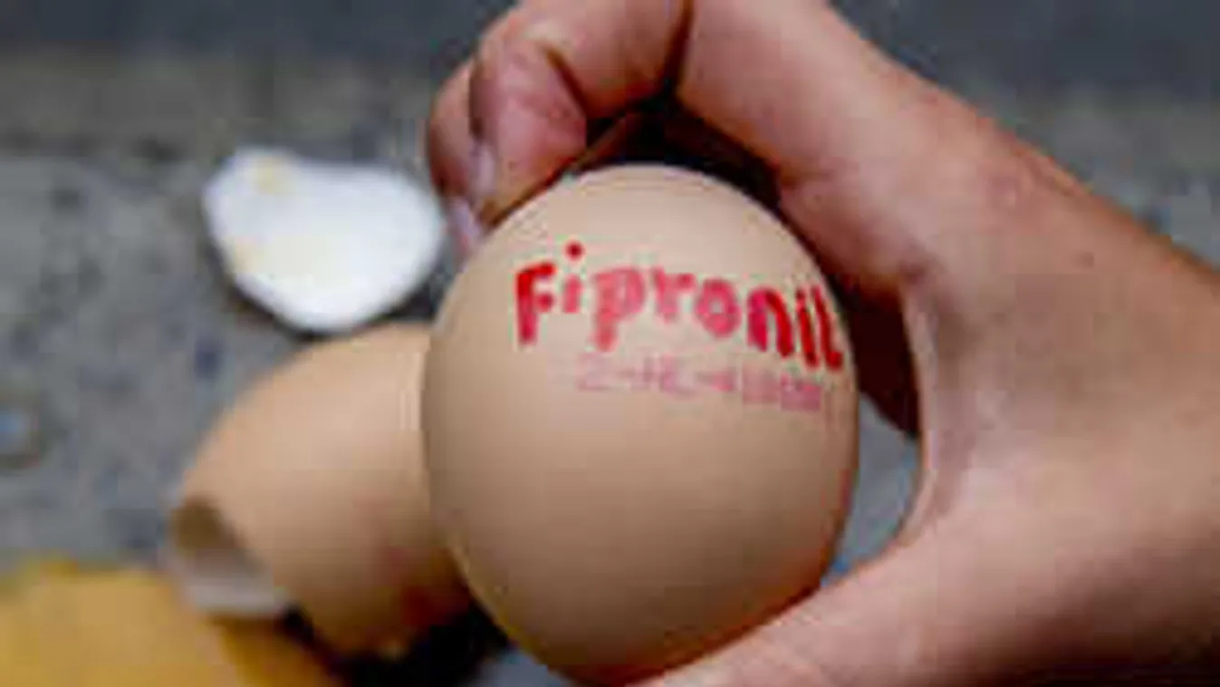 Ez az összefüggés a mérgezett magyar tojások között