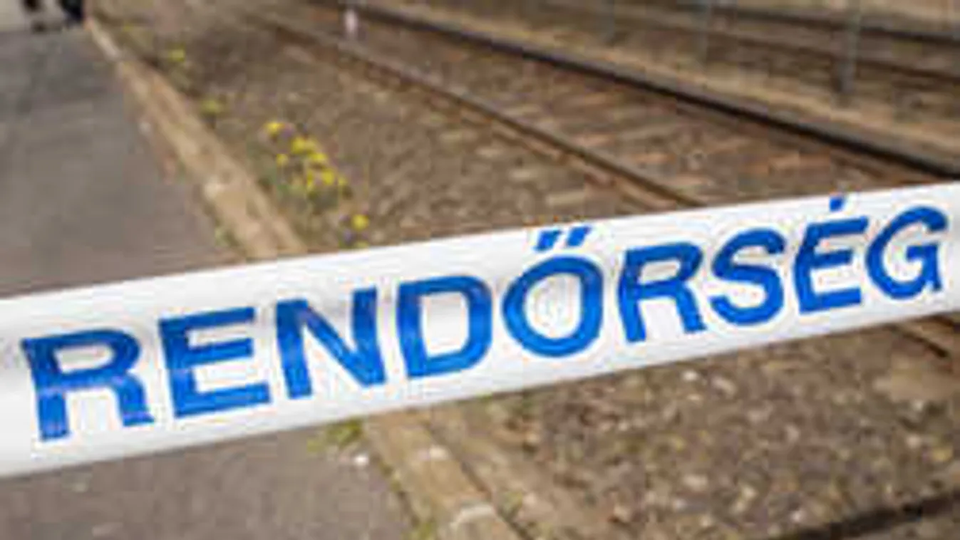 Fejvesztve menekült, lincshangulatban hagyta ott kétéves áldozatát a gázoló magyar férfi