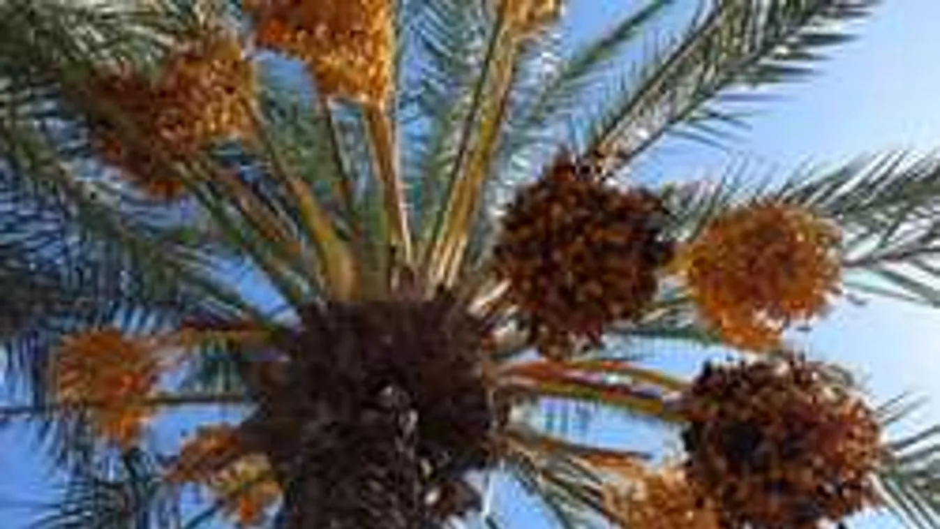 Szörnyű mészárlást rendeztek a népszerű strandon