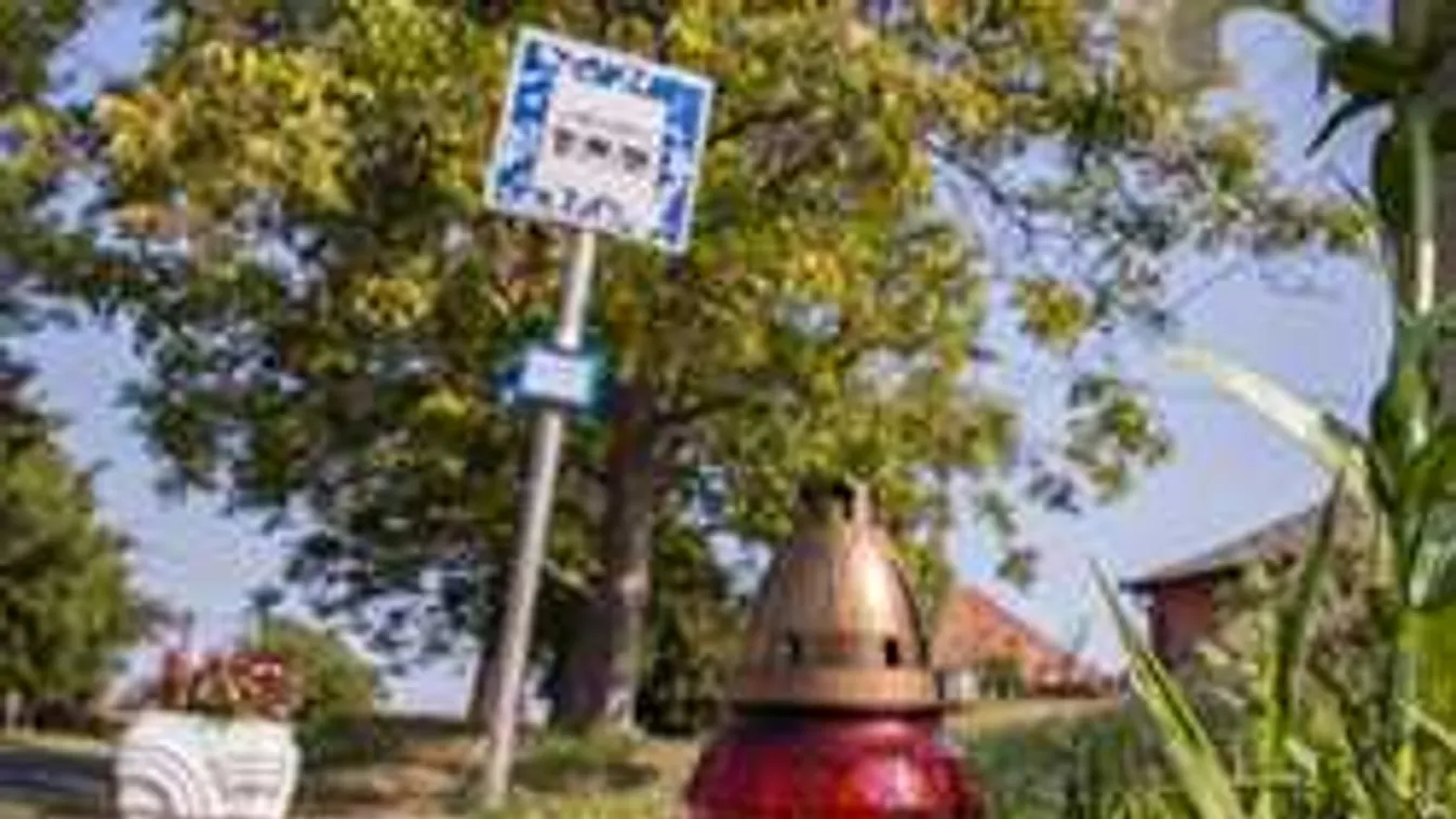 Varratszedésről ment haza Edit, majd szörnyethalt