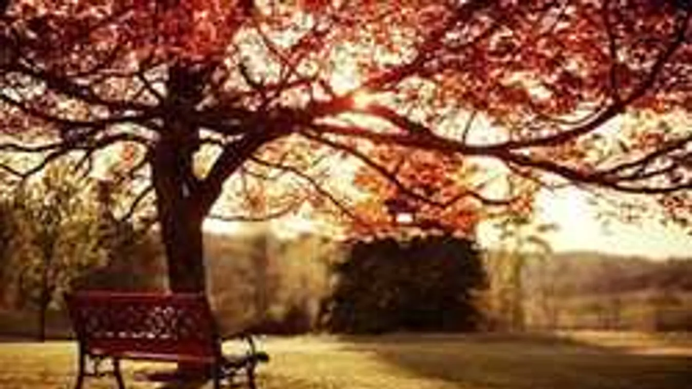 Ilyen lesz az idei ősz: Megdöbbentő előrejelzés az időjárásról