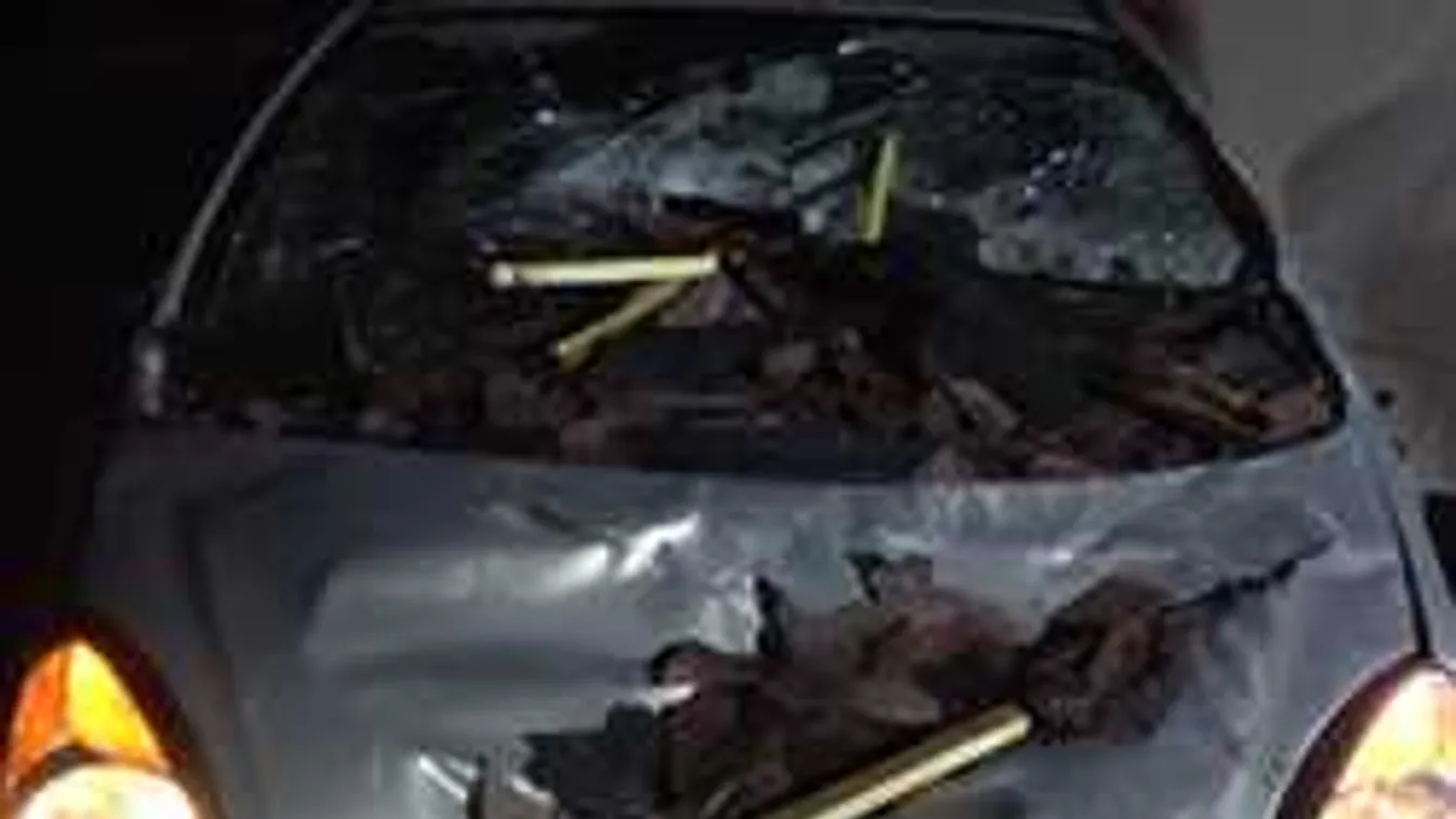 Így segíthetsz Te is a viharban elhunyt magyar édesanya családján