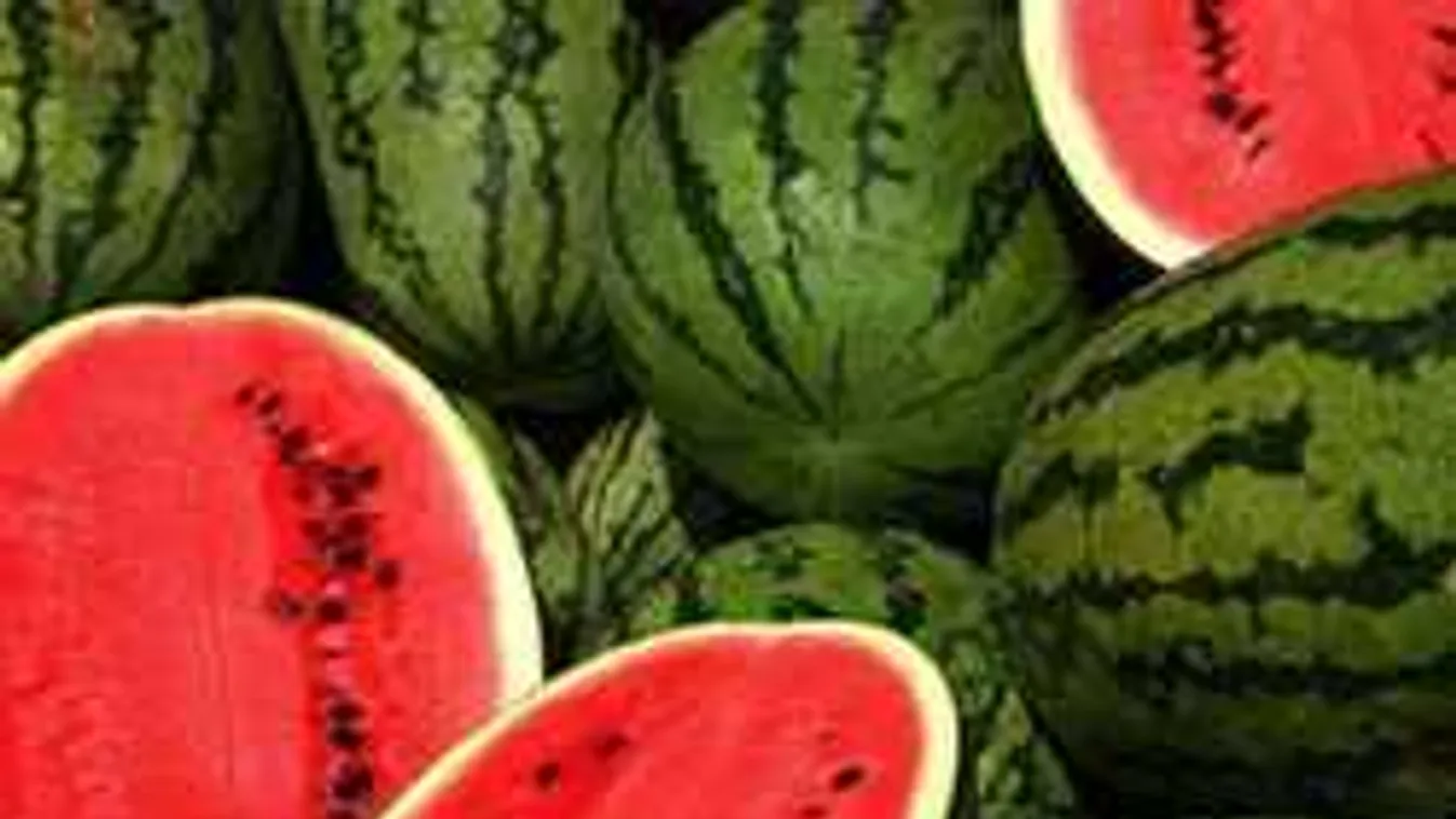 Ez a szuper trükk akár télig tartósítja neked a görögdinnyét!