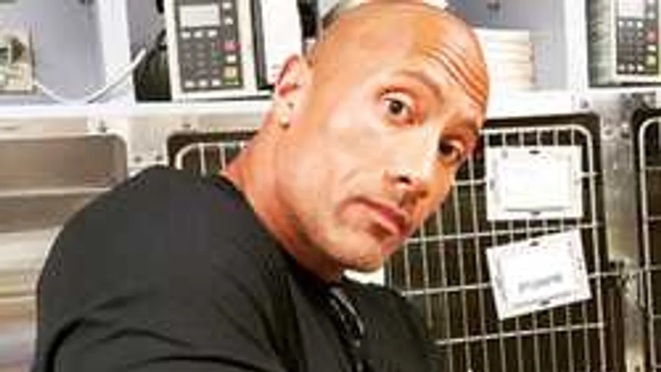 Valódi hőstett: a kisfiú kedvenc színészét utánozva mentett életet