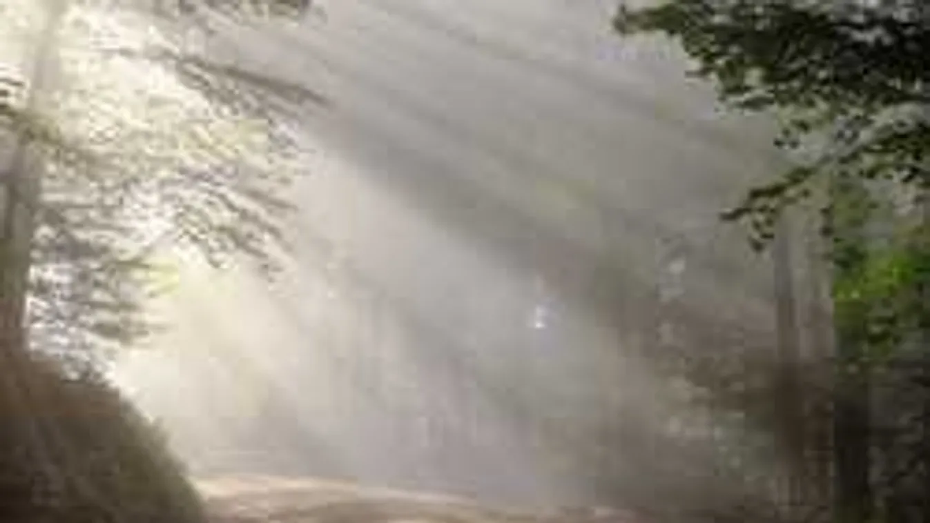 Erdőben túráztak a budapesti tinik, de nem találtak haza