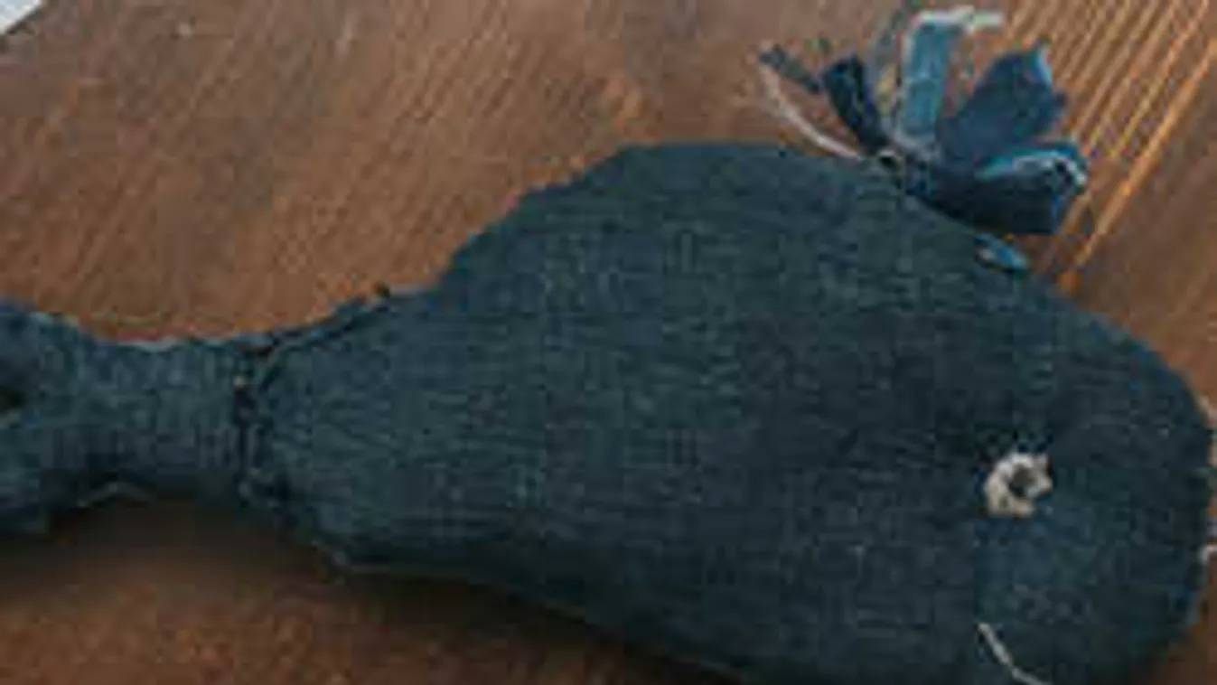 Megint a Kék Bálna: ez a tinilány lehet az öngyilkos játék fő mozgatója