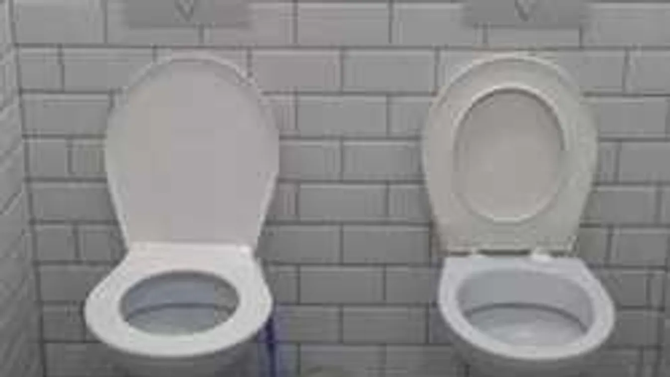 Nem volt nála pénz, nem engedték vécézni az idős asszonyt