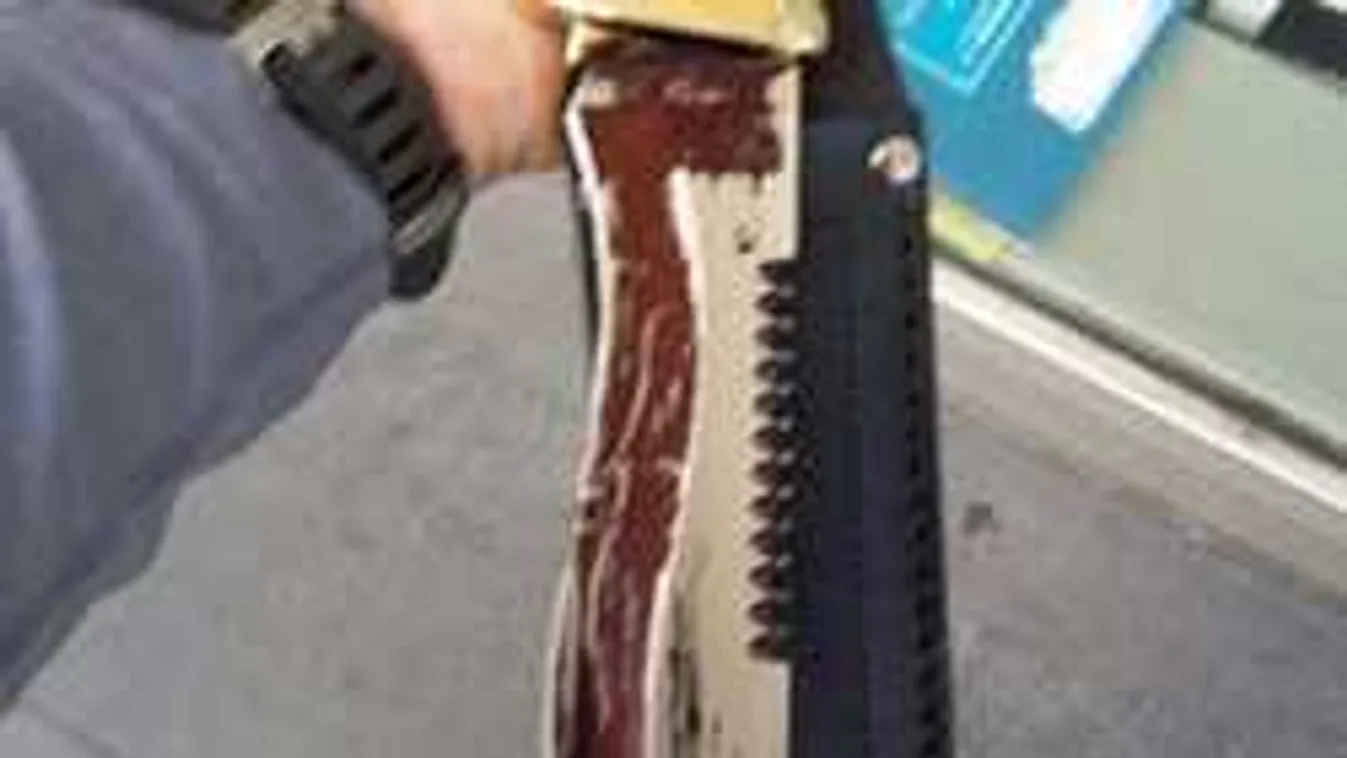 Már megint egy merénylet: turistákat akart gyilkolni a késes támadó