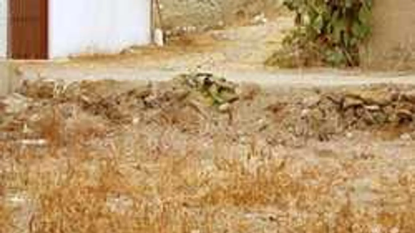 Kiakadtak a netezők: ezt a feladványt nem lehet 1 perc alatt megoldani. Vagy neked menni fog?