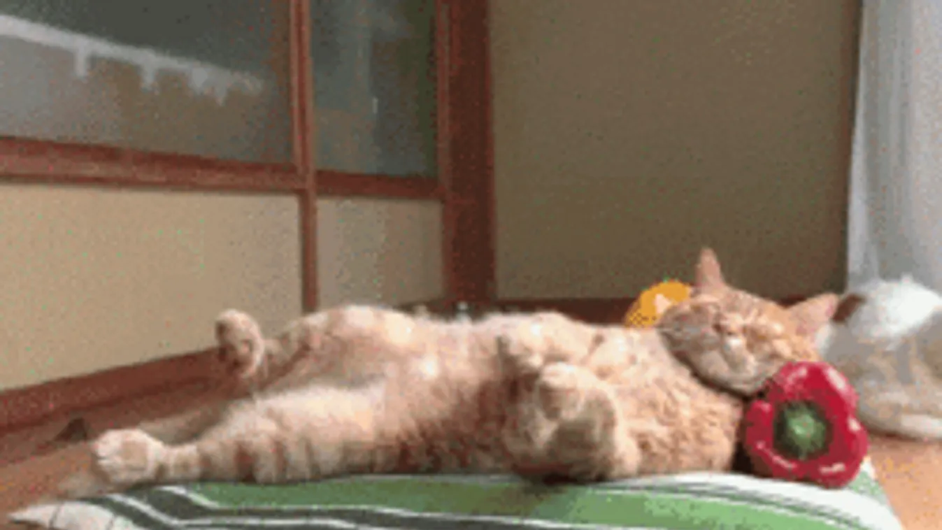 Meghosszabbították a riasztást, eddig kell még elviselnünk a hőséget