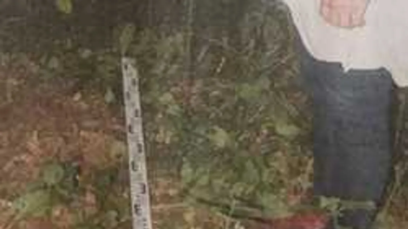 Hátborzongató eset Nógrádban: Saját sírját ásatták meg a tinivel