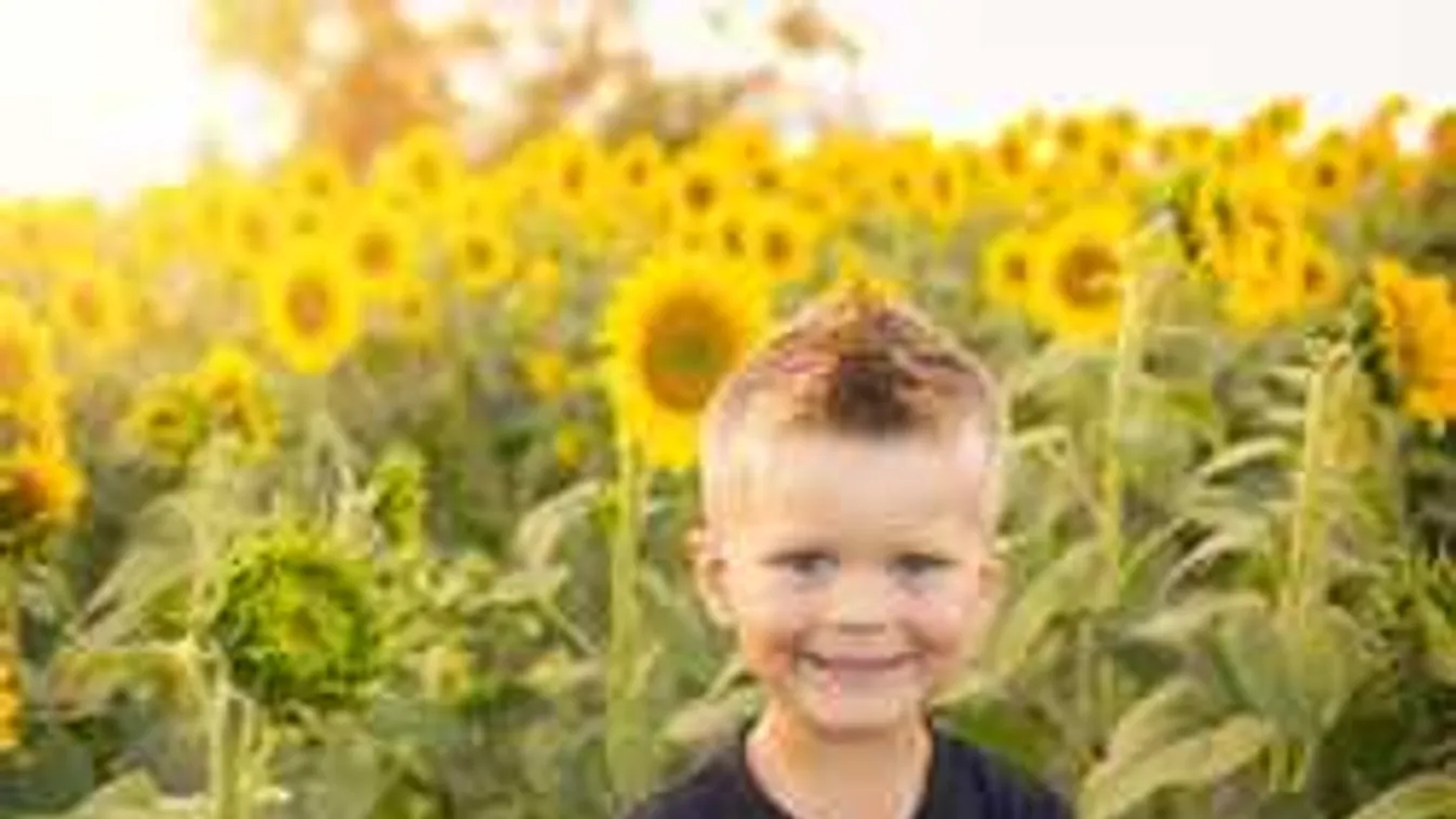 Itt a változás: Õrült hőingadozással leckéztet az időjárás