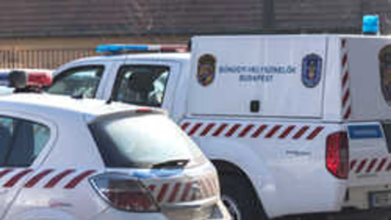 Hősies tett: magyar rendőrök mentettek életet a határátkelőnél!