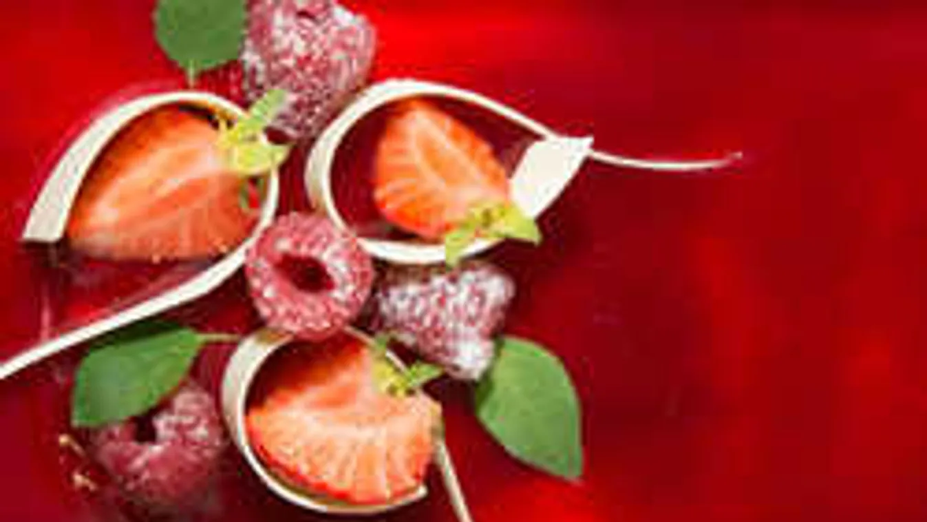 Különdíjat kapott a dunaharaszti Karl cukrászda mestere a fagylaltkészítés Formula 1-es versenyén