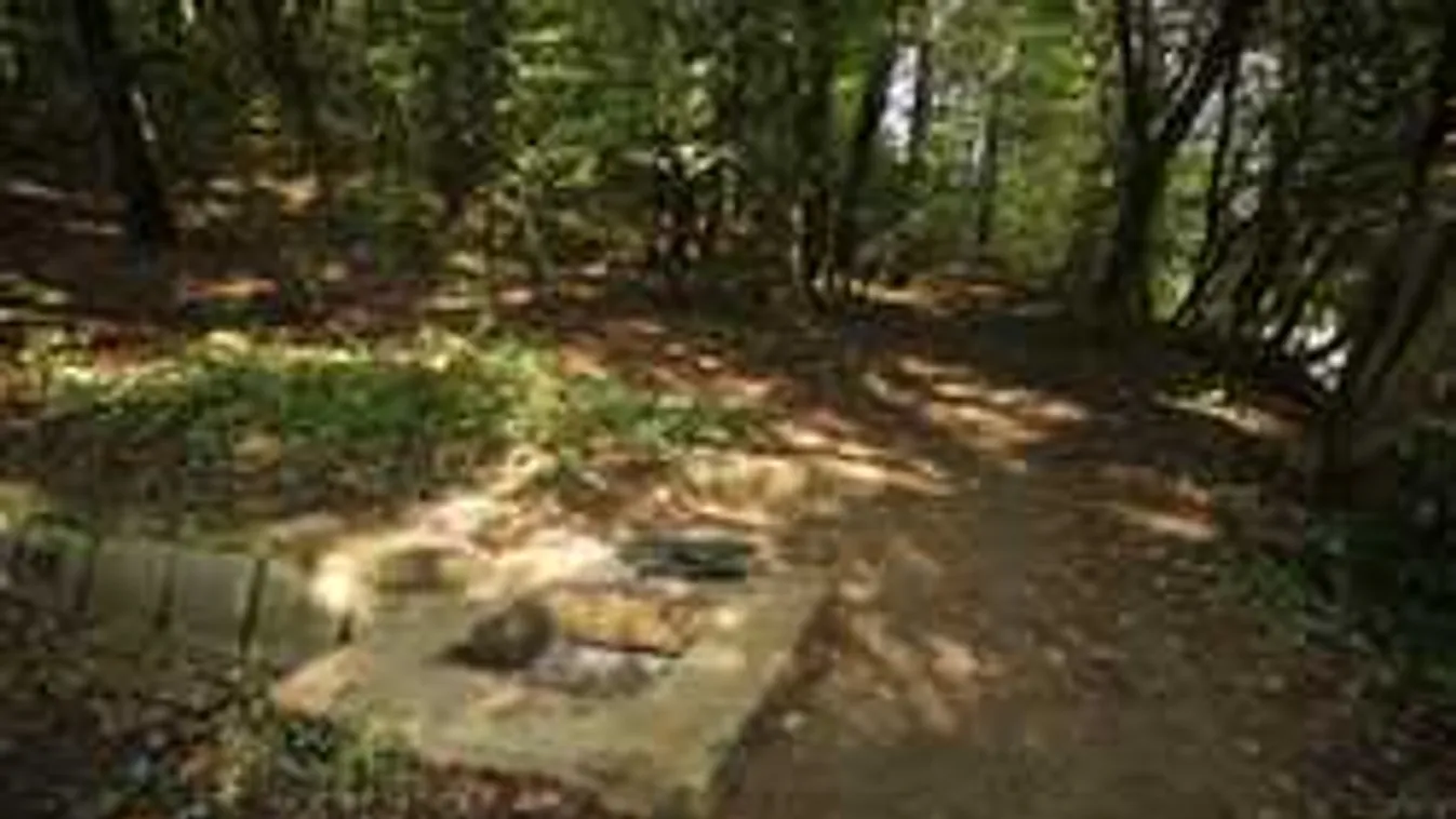 Drámai titkot rejt Csenge kegyetlen gyilkosának Facebookja