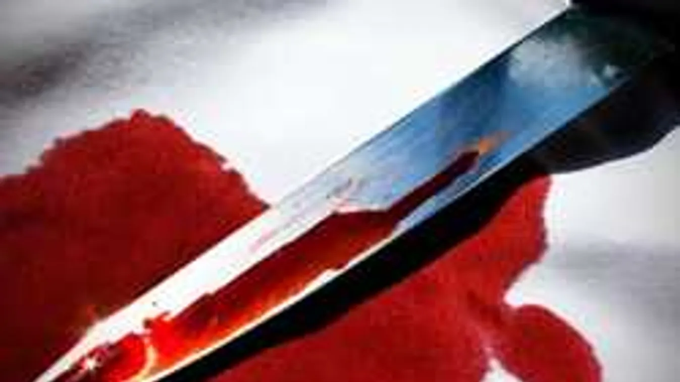 Beletörte nevelt fia arcába a kést a baranyai férfi, ez lett a büntetése