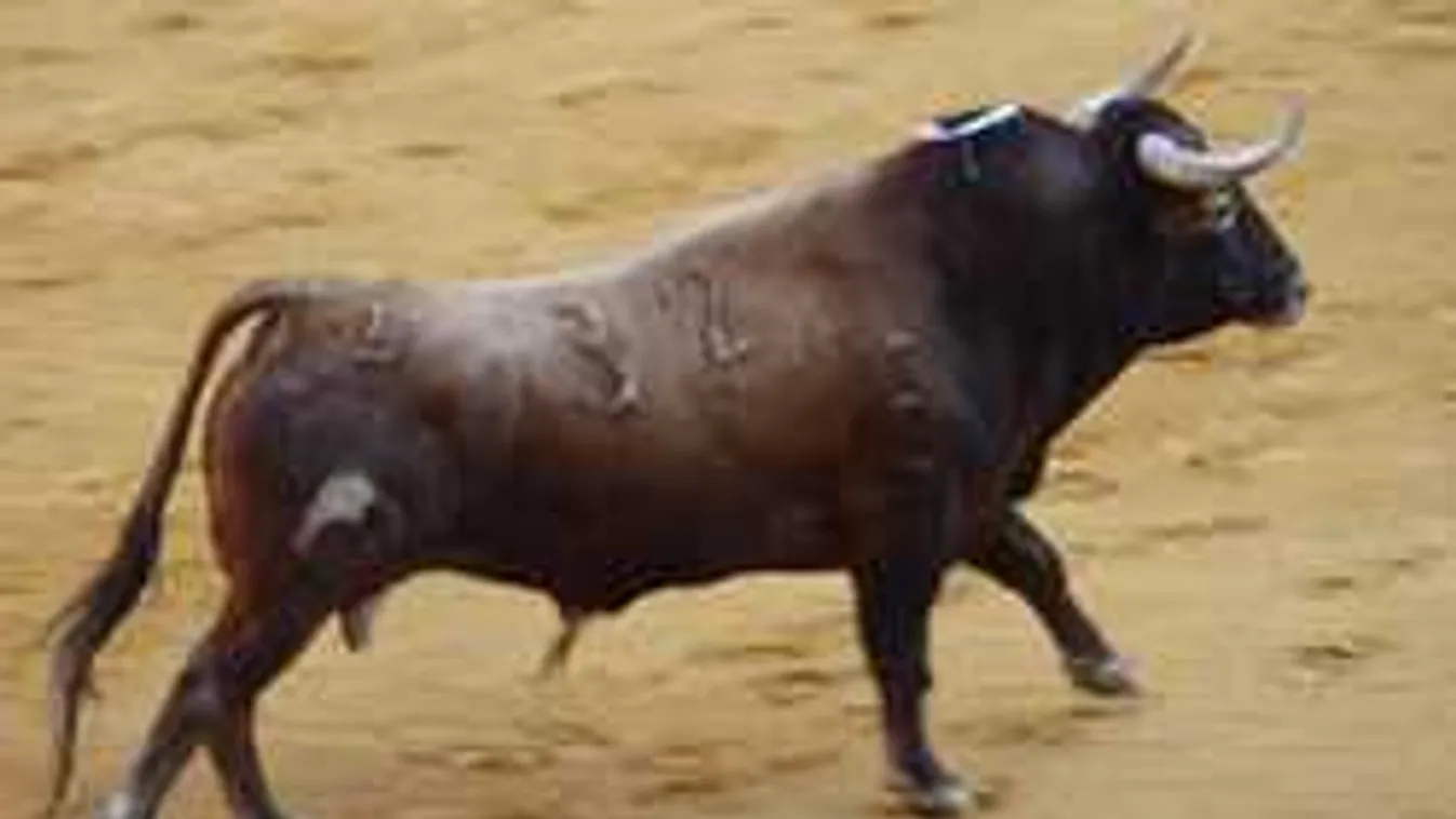 Megrendítő felvételek: nézők előtt halt szörnyet a 26 éves férfi