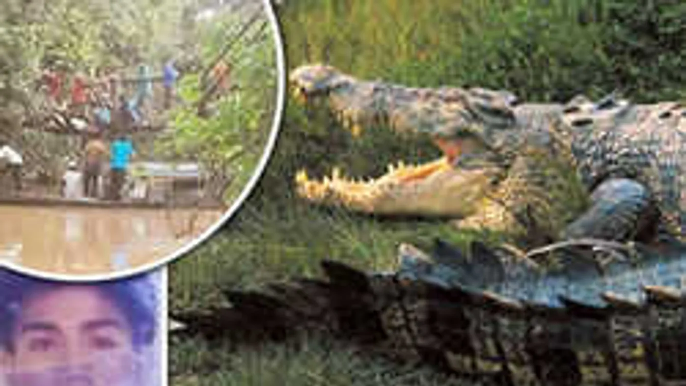 Krokodilok közé ugrott a sámán, azt hitte, varázsereje van