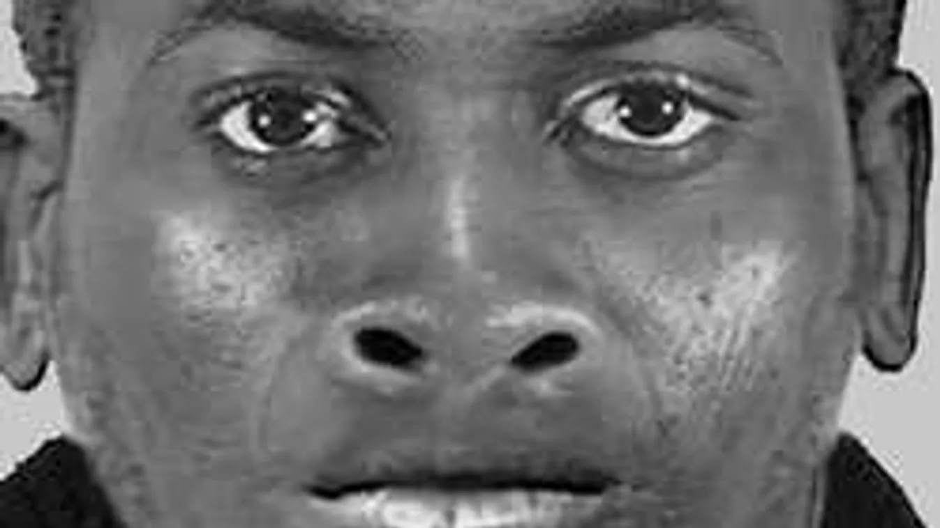 Barátja szeme láttára erőszakolták meg a kempingező 23 éves lányt