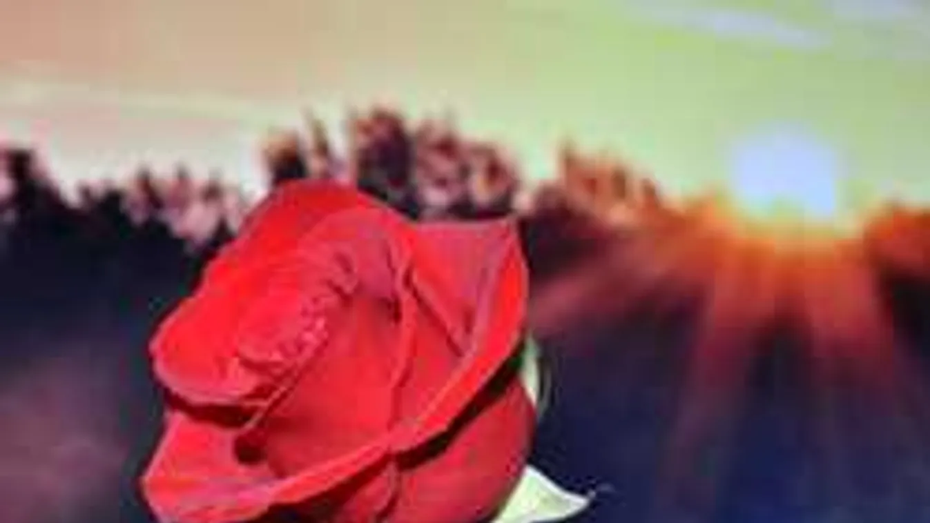 Szívszorító pillanatok: végső búcsút vettek a fiatalon megölt Csengétől