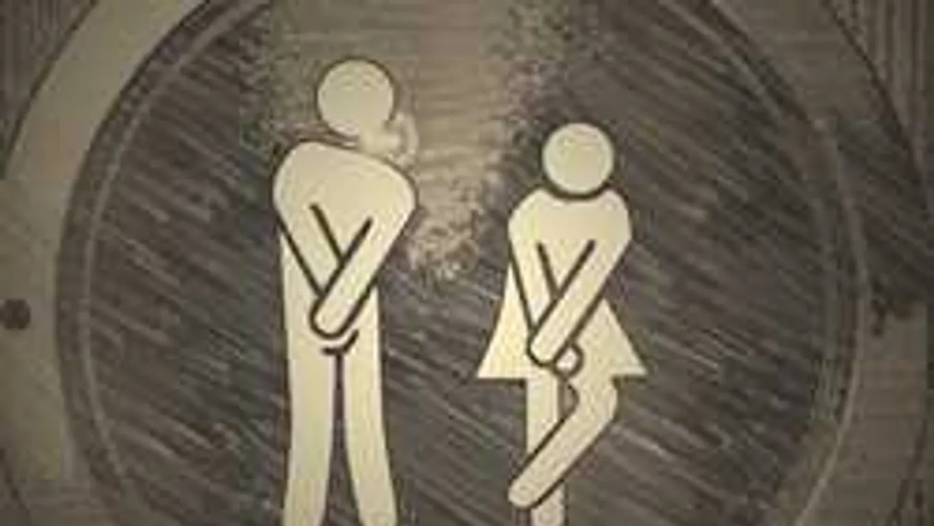 Elmebetegek, tízmilliókat húztak le a vécén készpénzben