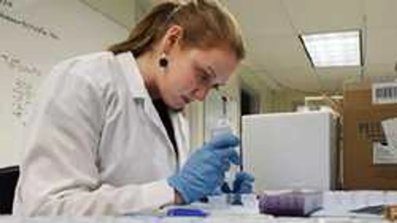 WHO-riadó: Kifogy a világ a hatékony antibiotikumokból