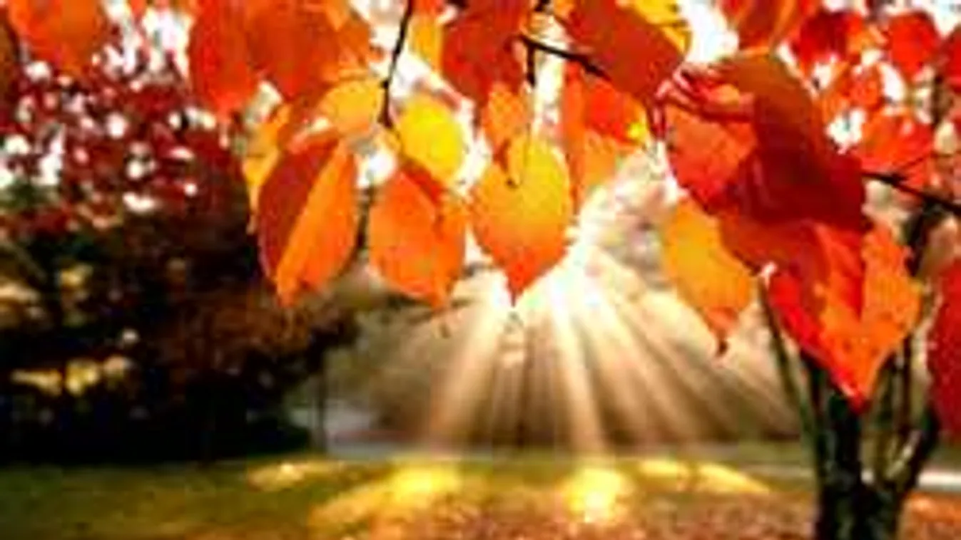 Jobb, ha felkészülsz, ilyen idő lesz ma