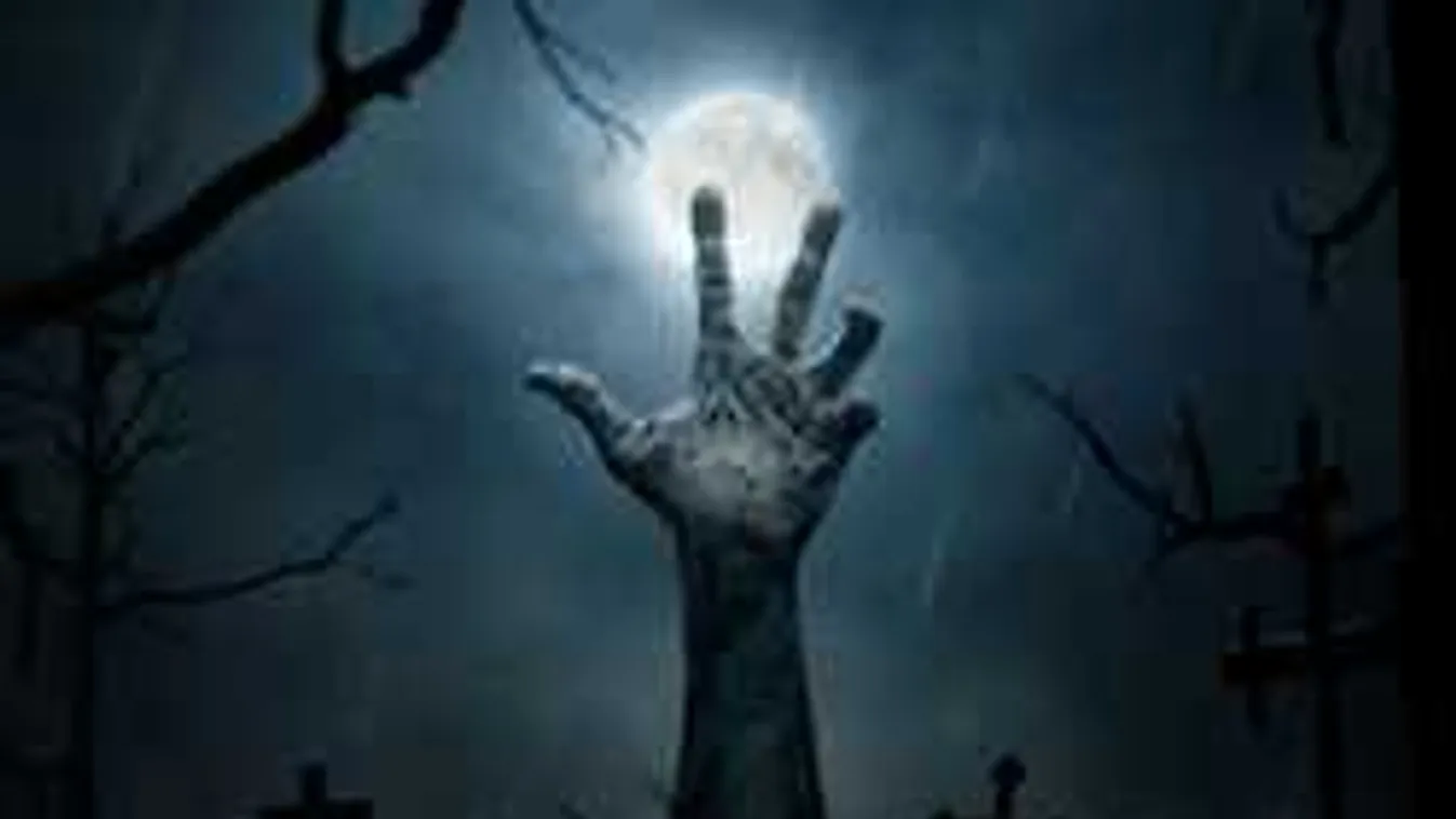 Horrorisztikus vacsorák: szelfiket is csinált áldozatiról a kannibál páros