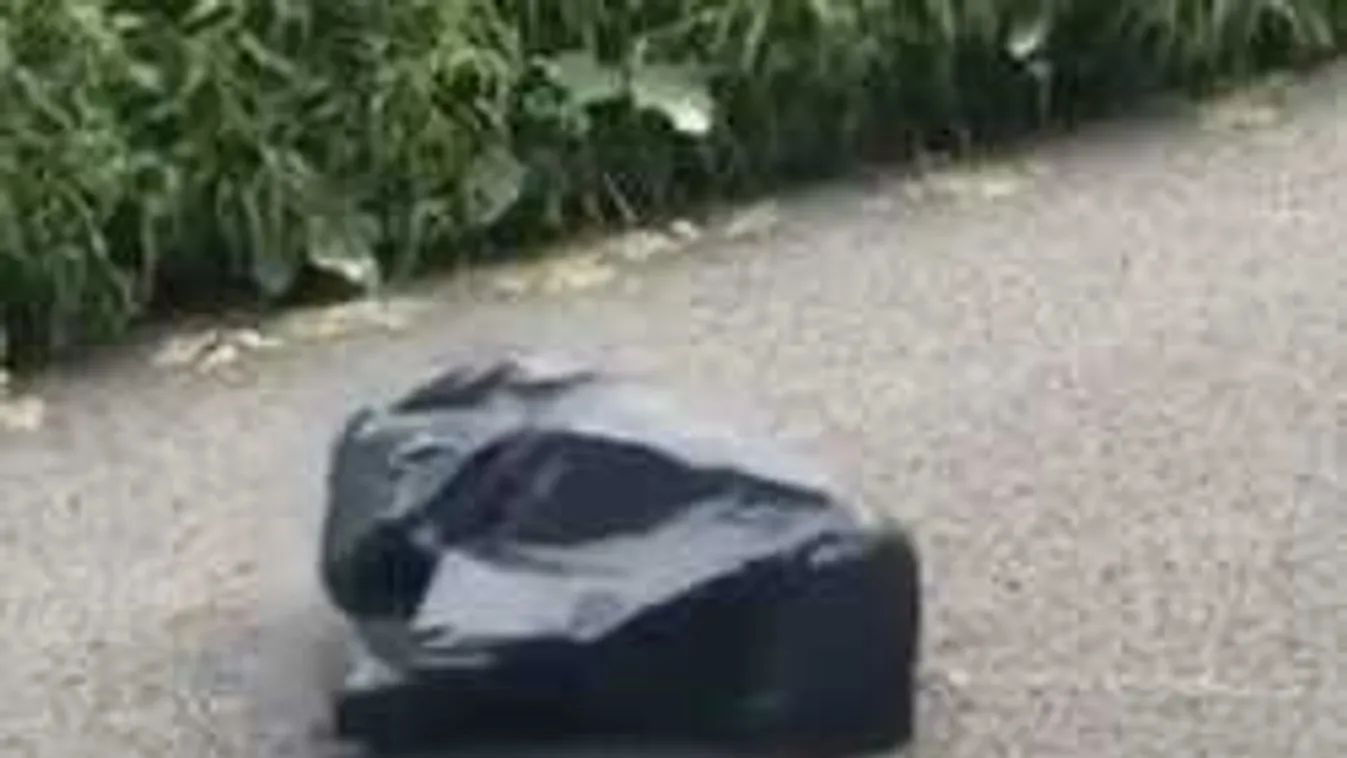 Síró kisfiú védte apukáját a megvadult gyurcsányistától