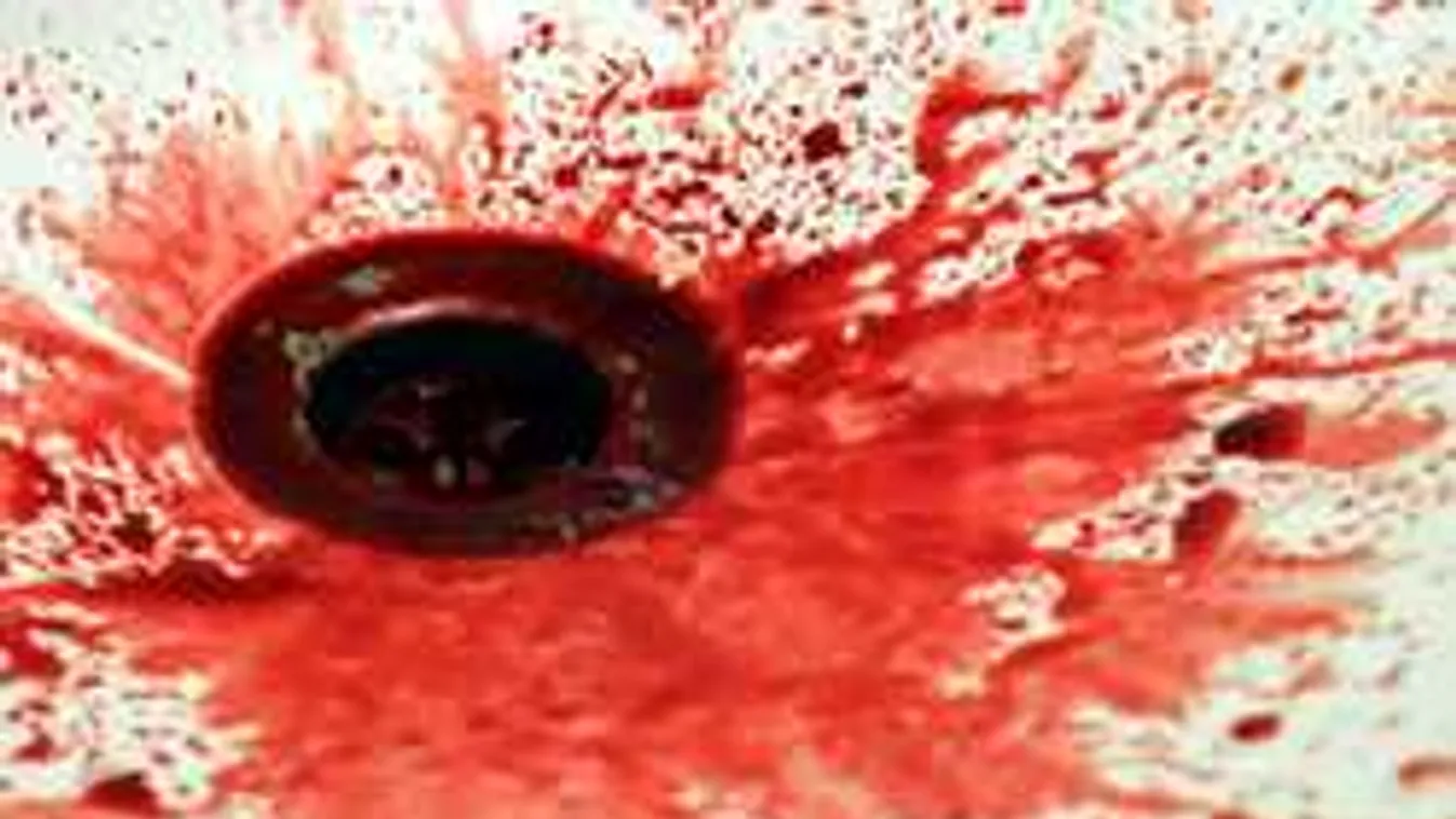 Facebookon vallotta be a brutális gyilkosságokat a magyar nő