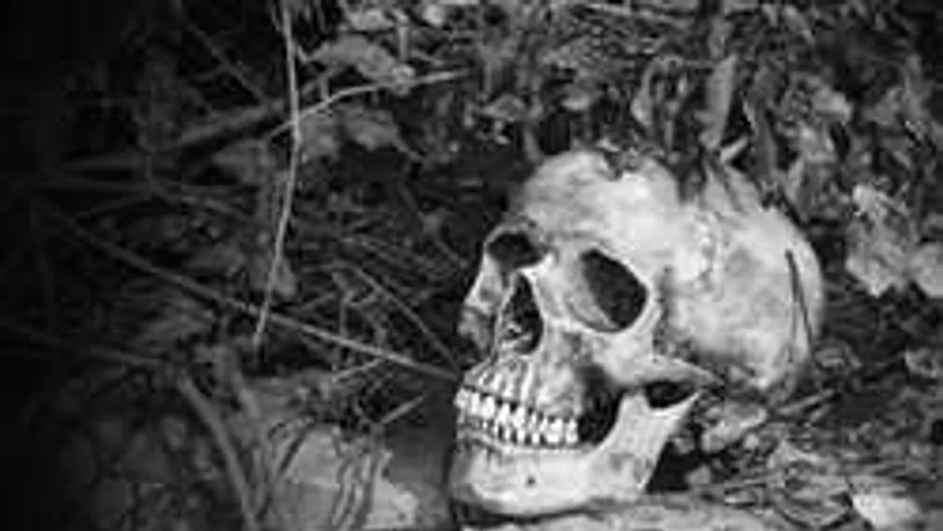 Sokkoló dolgora bukkantak a rőzseszedők az erdő mélyén...