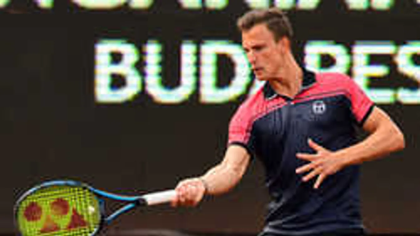 Legendánk jóslata, Fucsovics a legnagyobbak közé emelkedhet