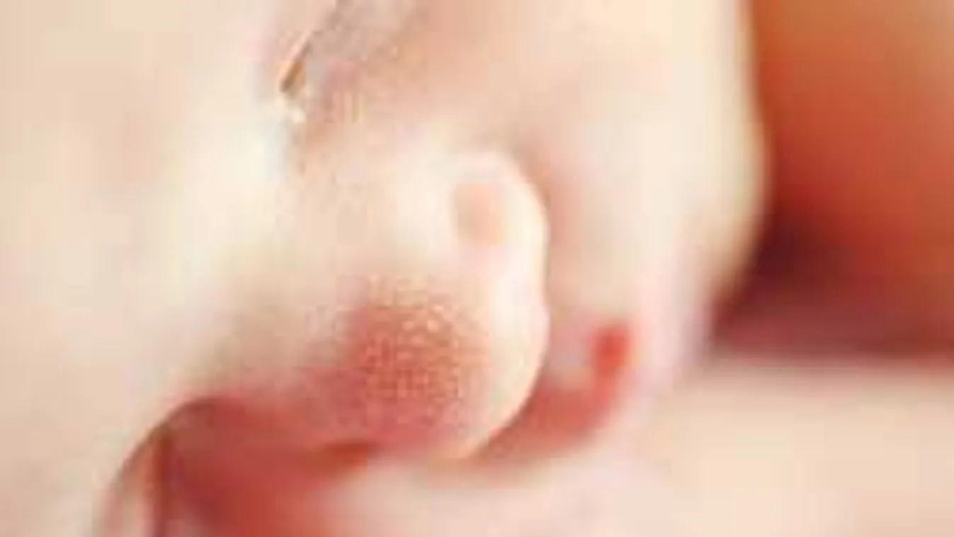 Horror az étteremben: a vécén akarta lehúzni az újszülöttjét a nő