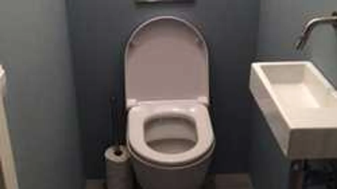 Eláruljuk, mit tilos a vécébe dobni, mégis van, hogy megteszed