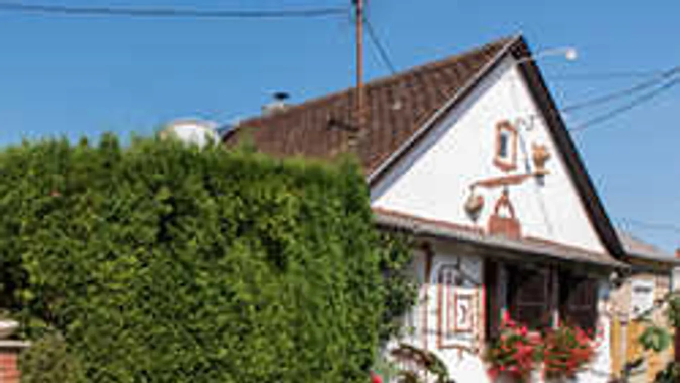 Meghökkentő: afrikai motívumok jelentek meg a magyar parasztház falán