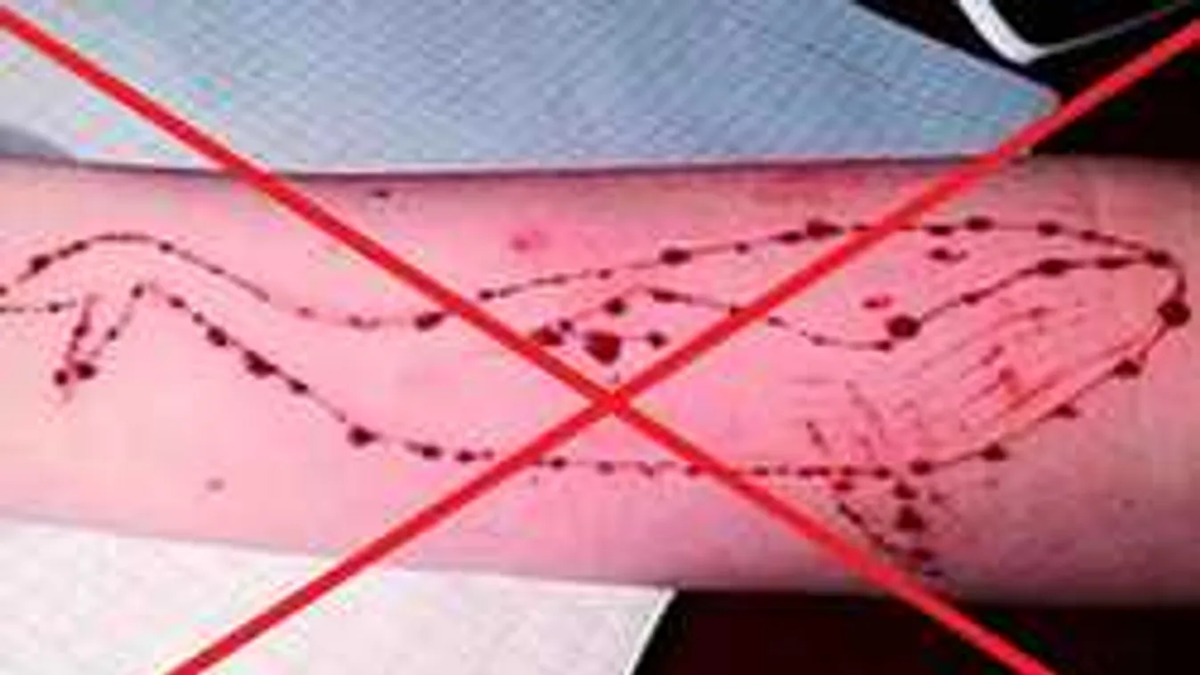 Ez borzalmas! Hétéves gyerekek akarnak a Kék Bálnával játszani