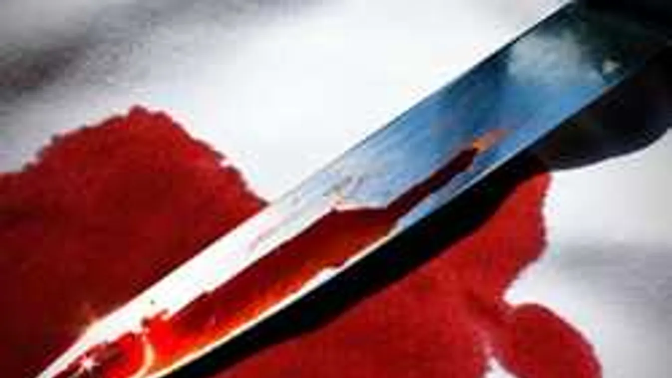 Hidegvérű gyilkos módjára szúrta le ikertestvérét