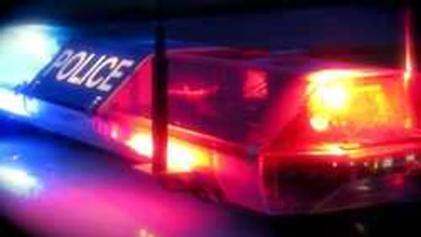 Lecsaptak a pécsi rendőrök, 11 pakisztáni potyautas