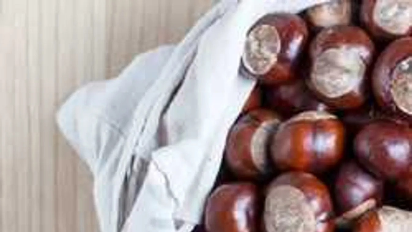 Ennél olcsóbban úgysem tudsz mosni: Jöhet a vadgesztenye!