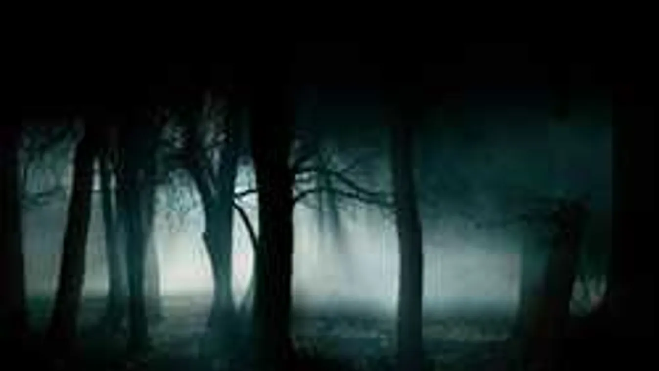 Elképesztő, mit fotózott Nógrád megyében a vadkamera