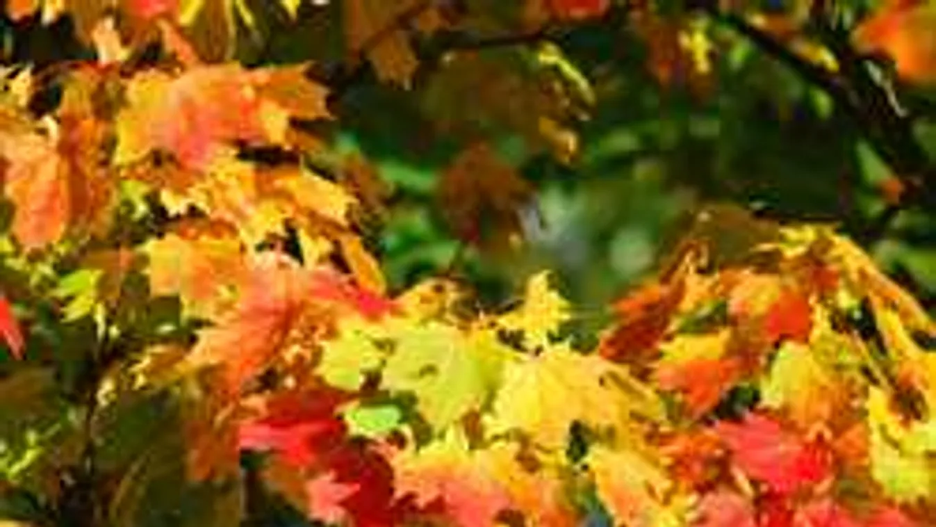 Megfagyunk a kánikula után! Be kell majd fűteni?