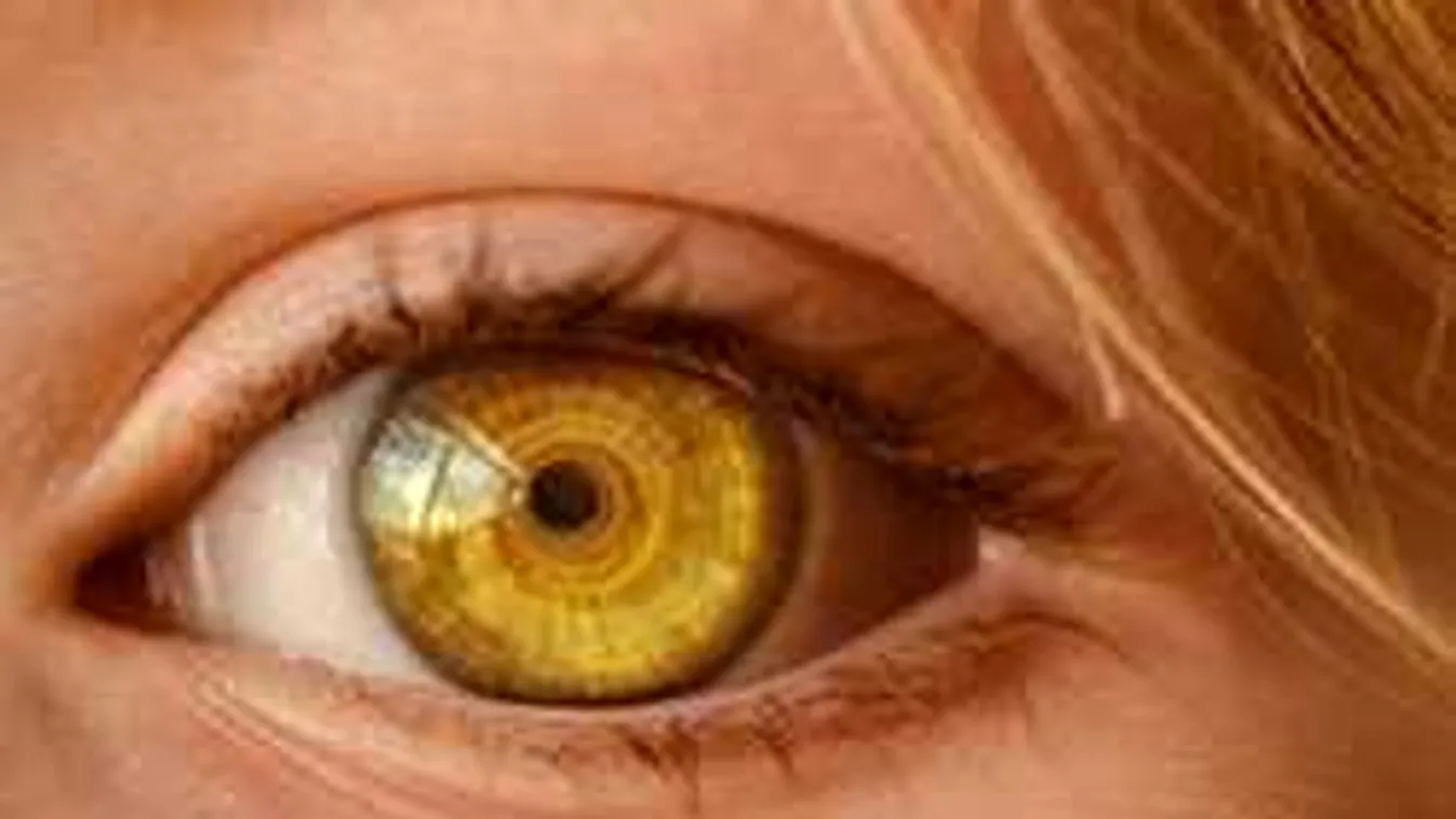 Ezért látják másképp a dolgokat a nők és a férfiak