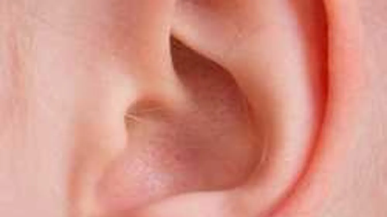 Elképedtek az orvosok, hihetetlen mit találtak a férfi fülében