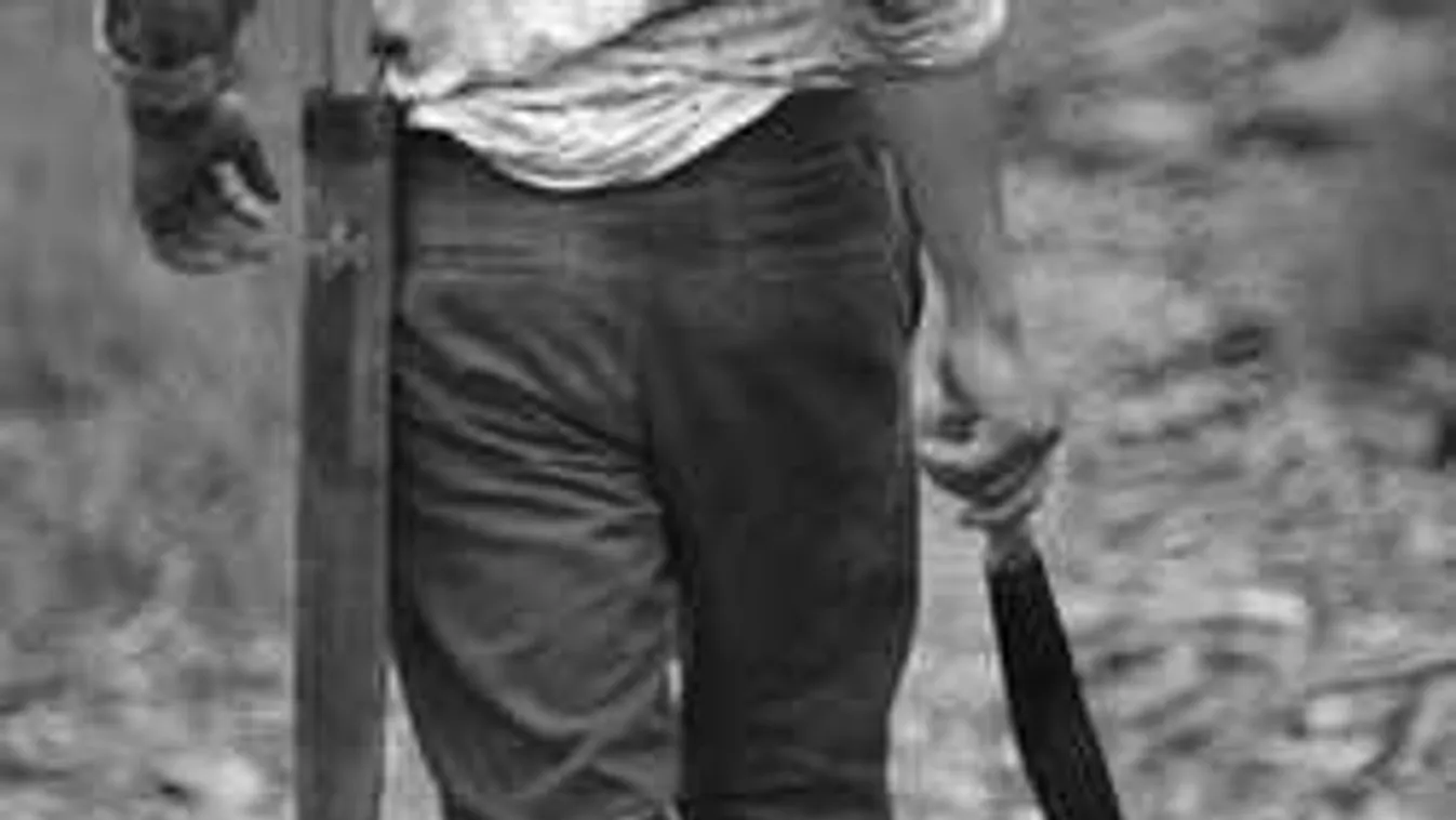 Bozótvágó késsel támadt saját testvérére a maszkos betörő