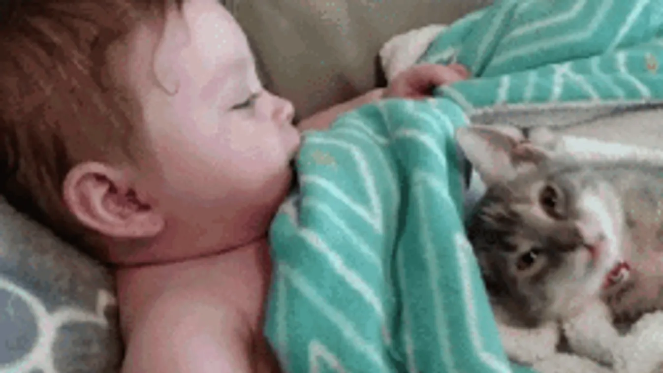 Készülj, mert ezt nem lehet kibírni: Ennél cukibbat még nem láttál