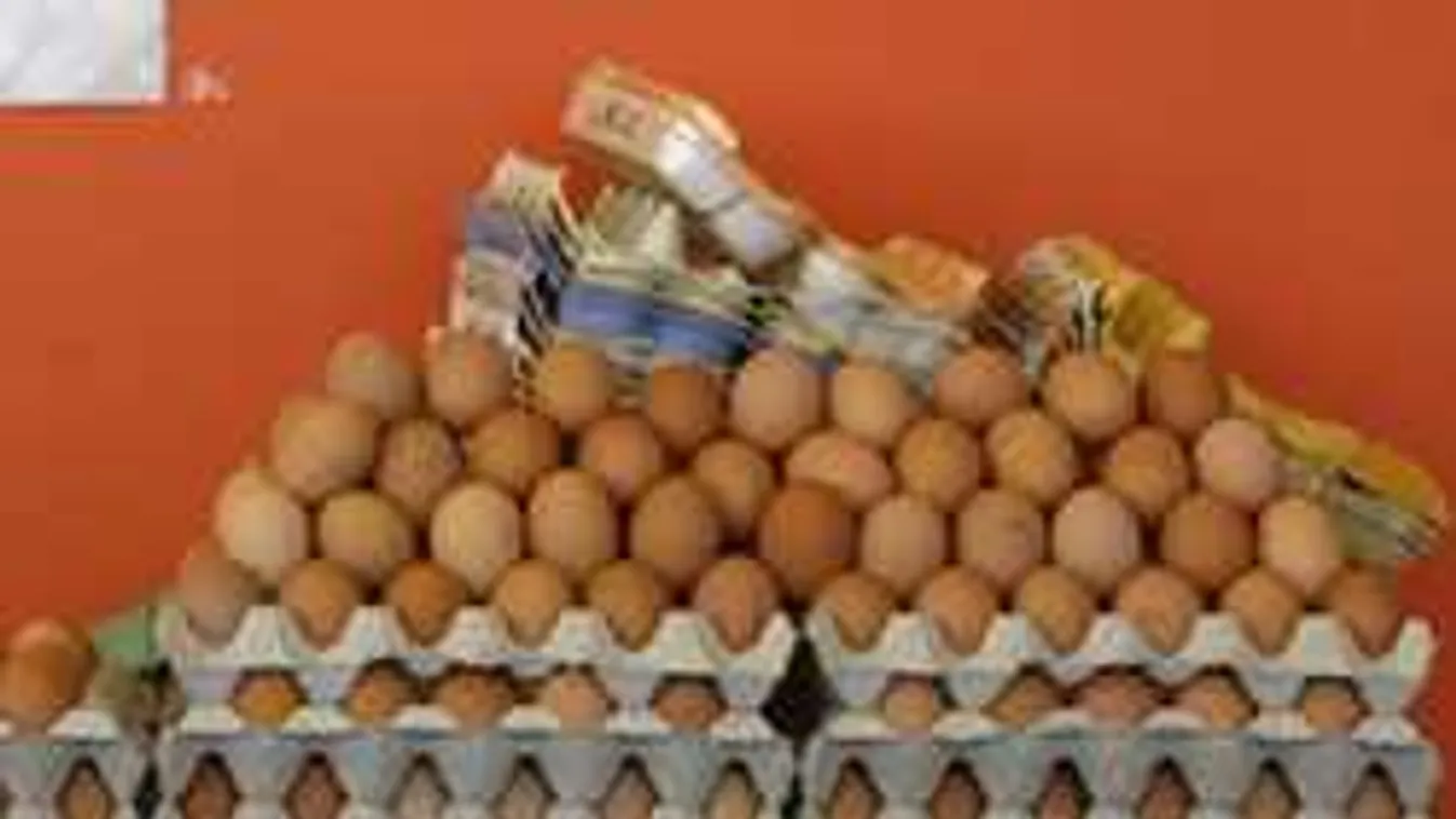 Ezt tették a háziasszonyok a tojásbotrány után!