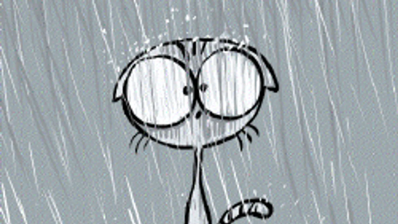 Közölték a meteorológusok: vihar mossa el a hétvégét, ebben nem lesz köszönet