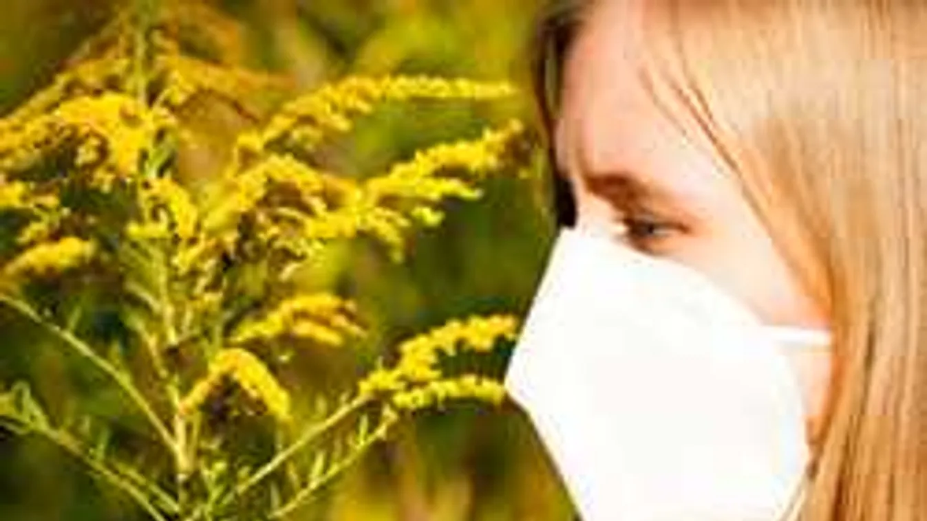 Nagy bajban vannak az allergiások