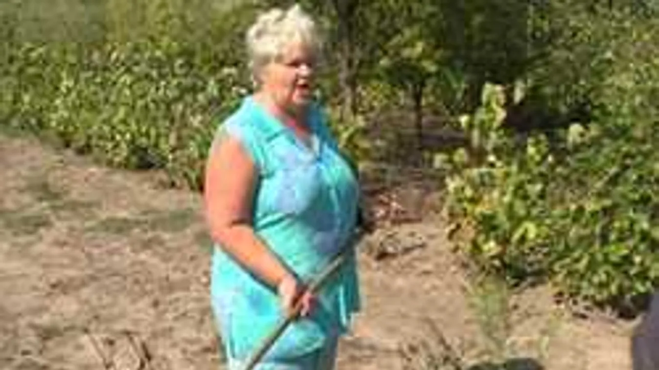 Seprűvel kergette el a szőlőjét dézsmáló migránsokat egy magyar néni