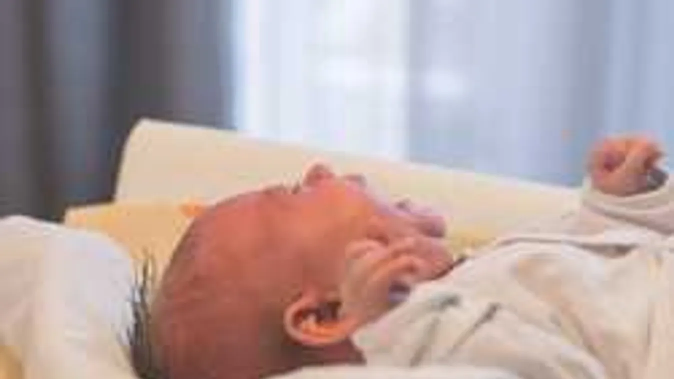 Elárasztják Európát a Muhammadok